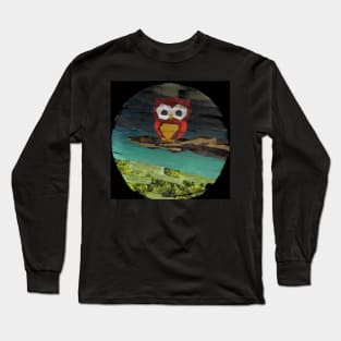 An Owl on A Branch Long Sleeve T-Shirt